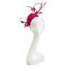 Fuchsia Feathers Floral Fascinator